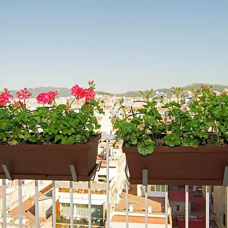 Apartament City View